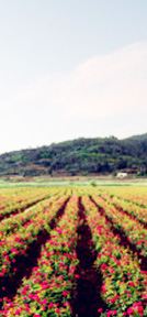 恒順?shù)X業(yè)